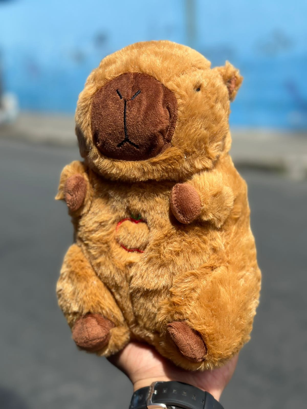 CAPIBARA QUE RESPIRA